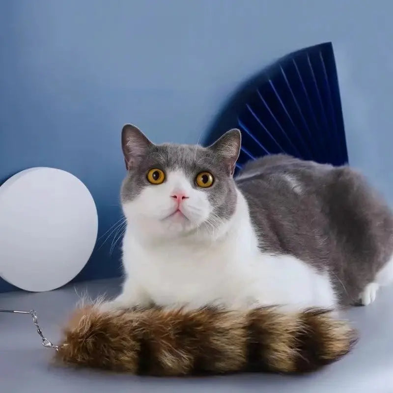 Jouet chat queue de renard