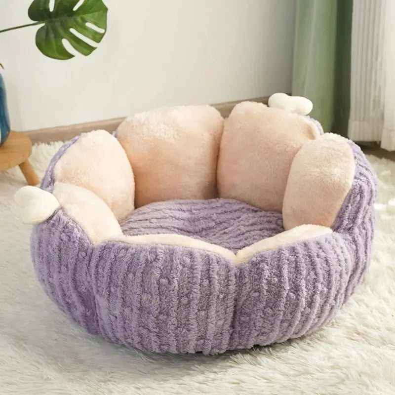 Lit cactus confortable