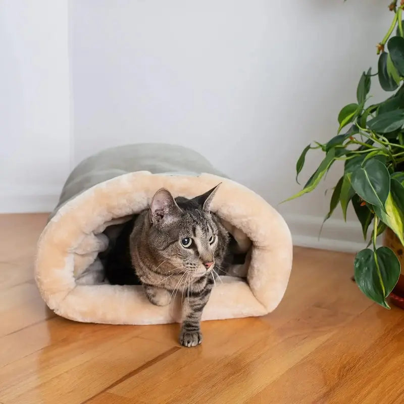 Nid couchage chat