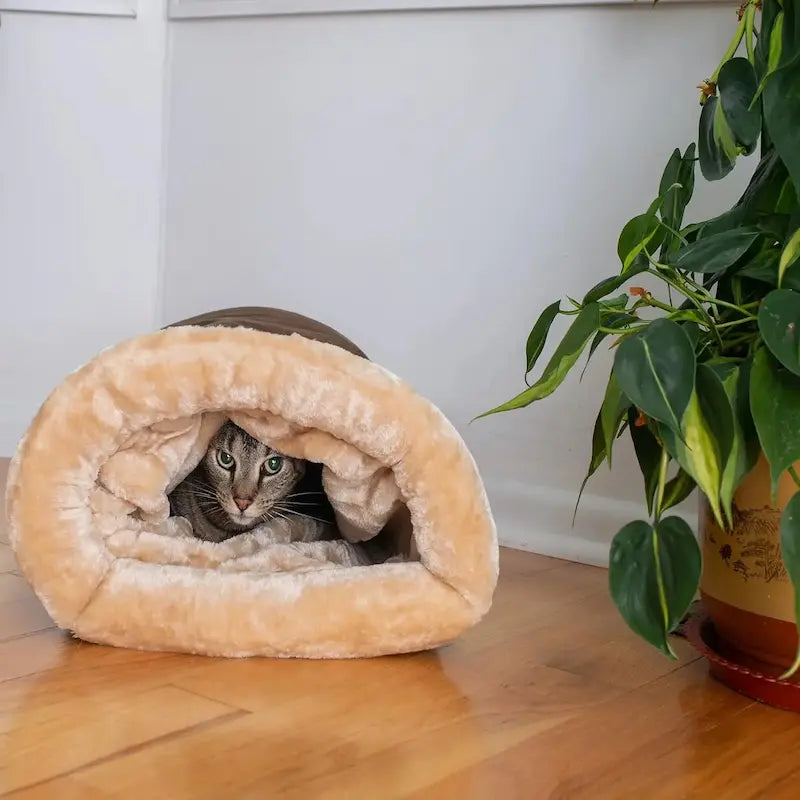 Nid couchage chat