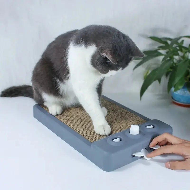 Planche à gratter chat