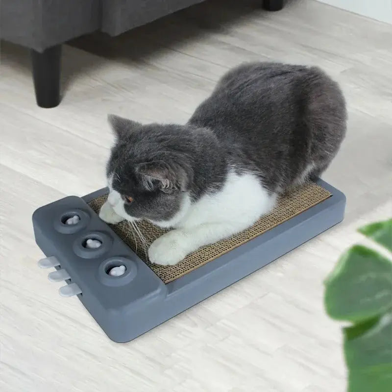 Planche à gratter chat