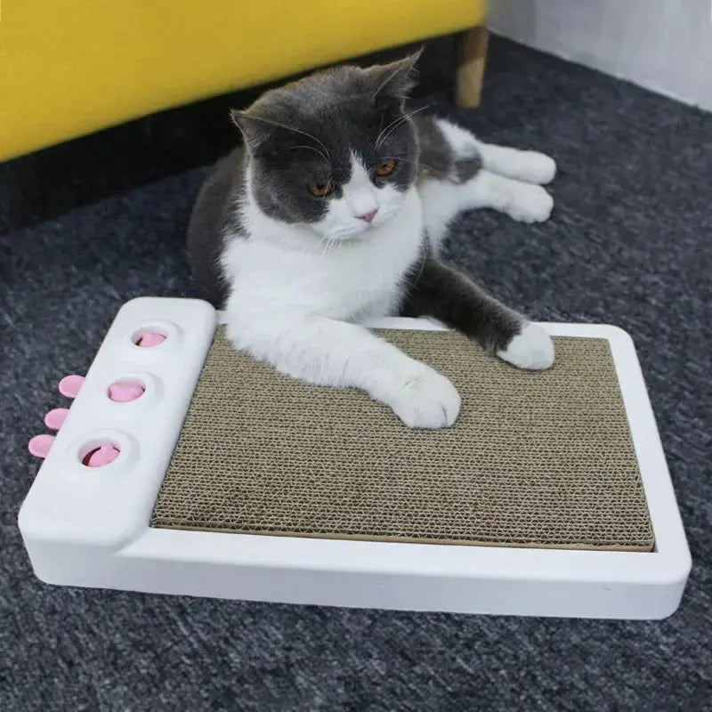 Planche à gratter chat