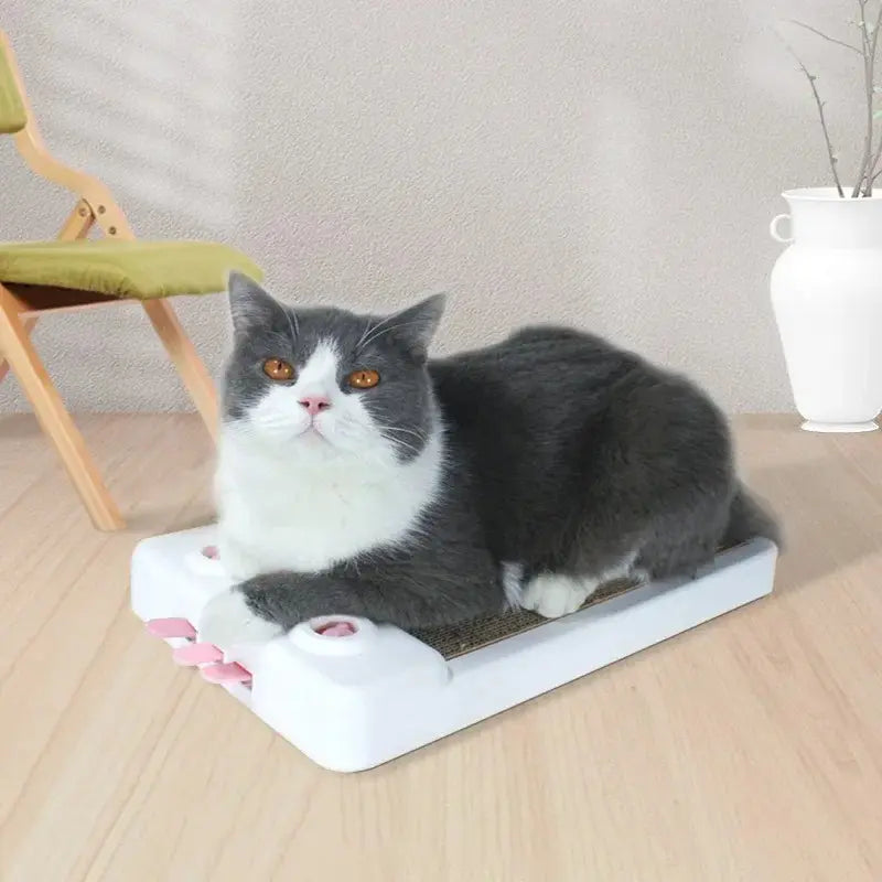 Planche à gratter chat