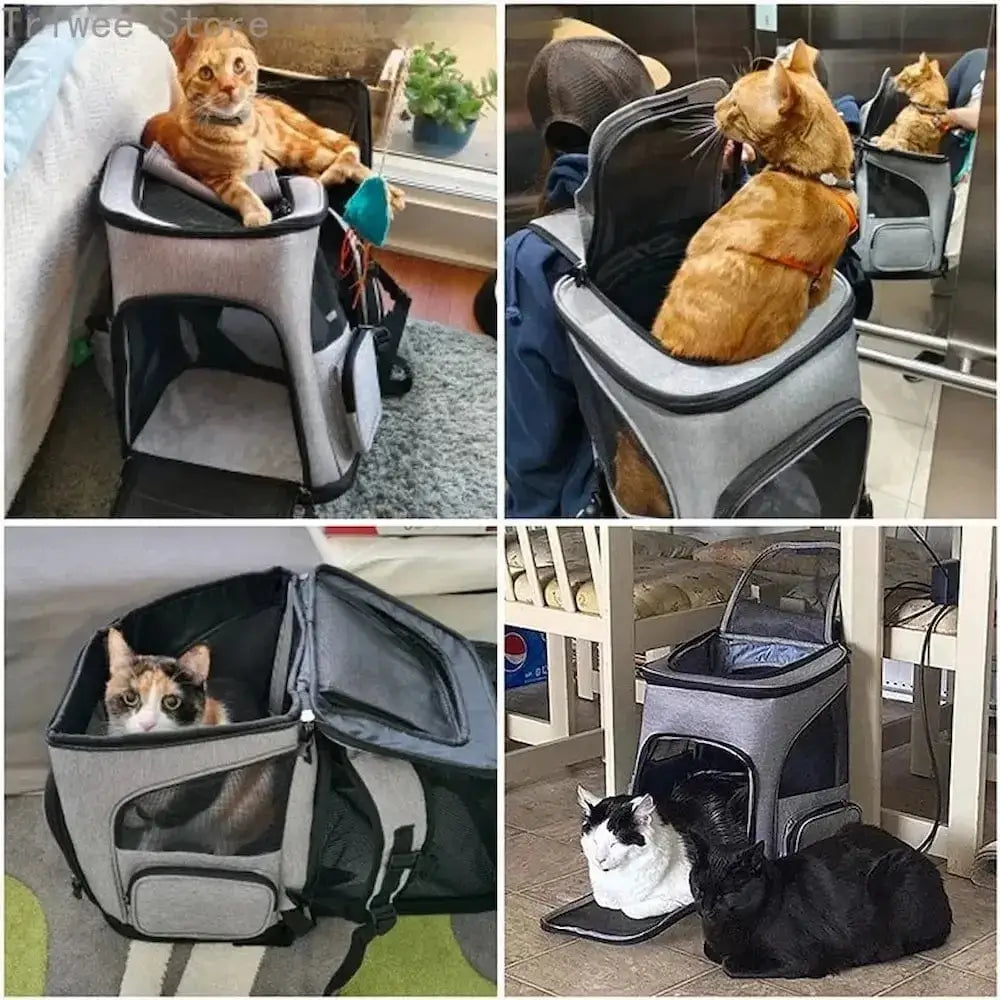 Sac à dos pour chat randonnée