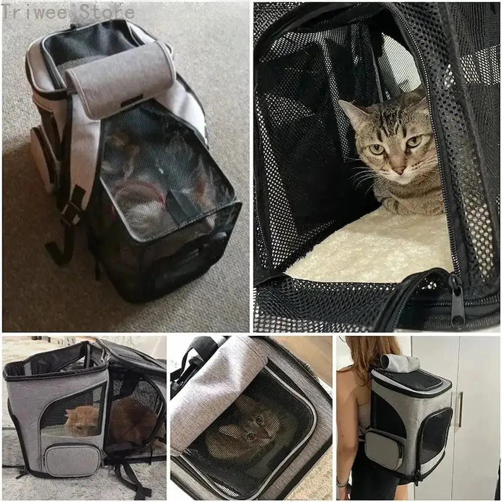 Sac à dos pour chat randonnée