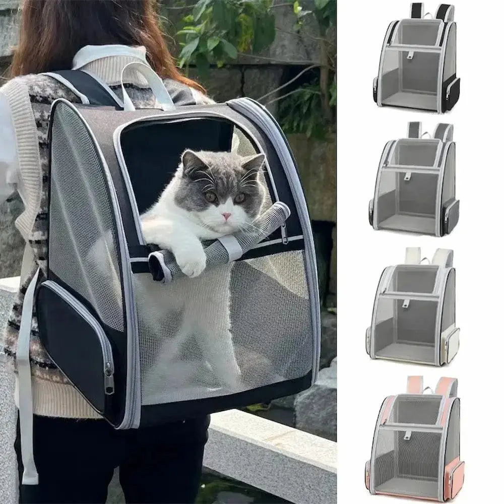 Sac à dos respirant chat