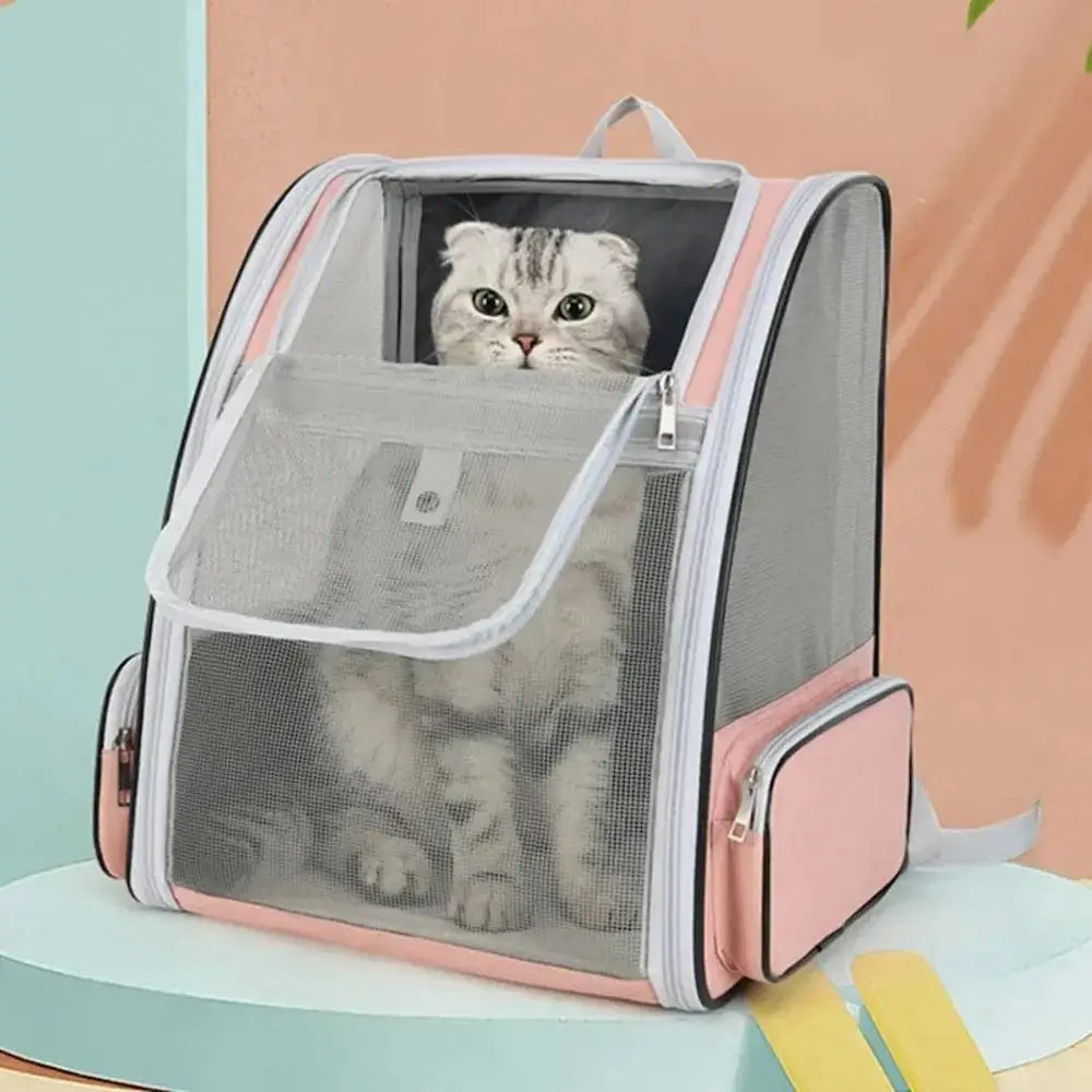 Sac à dos respirant chat