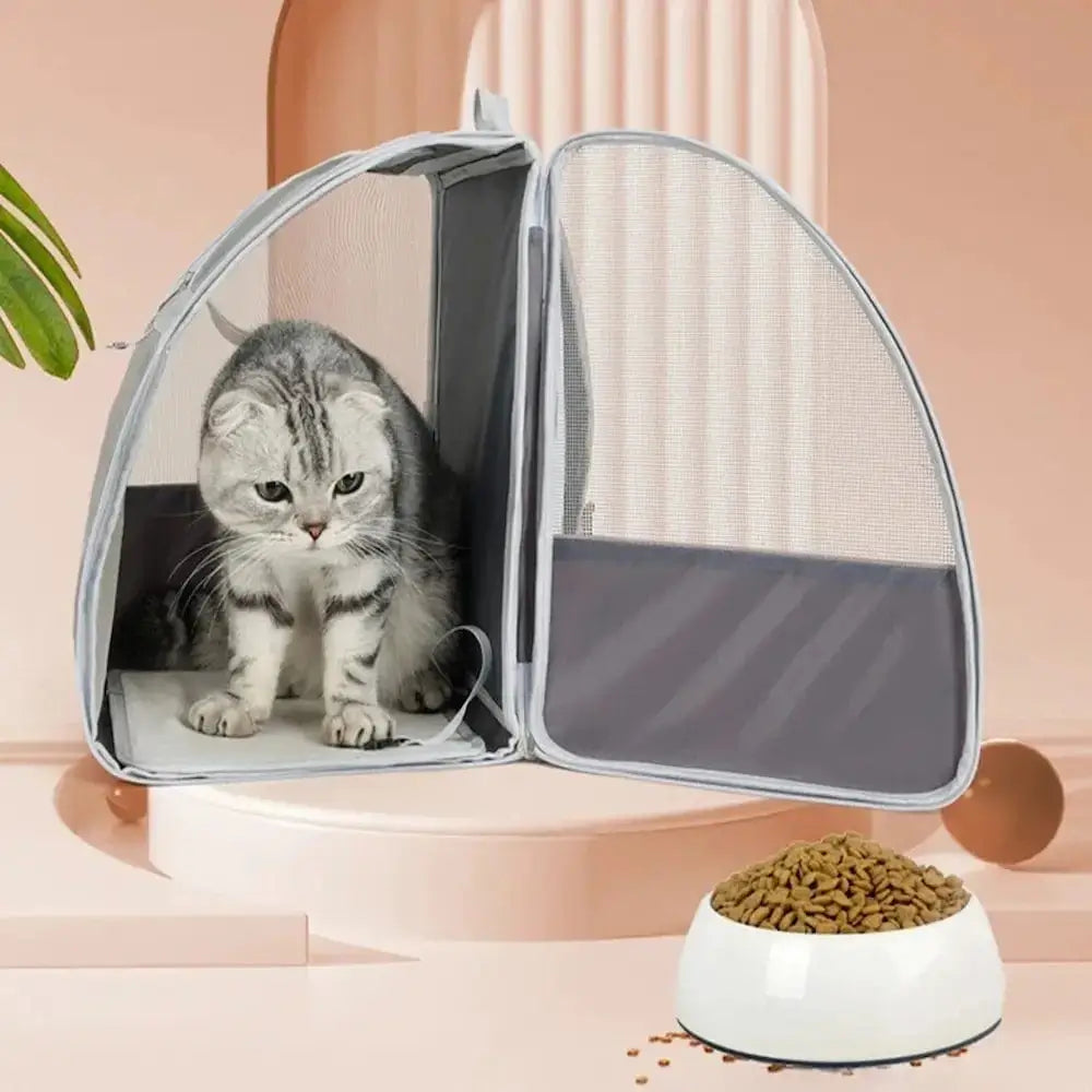 Sac à dos respirant chat