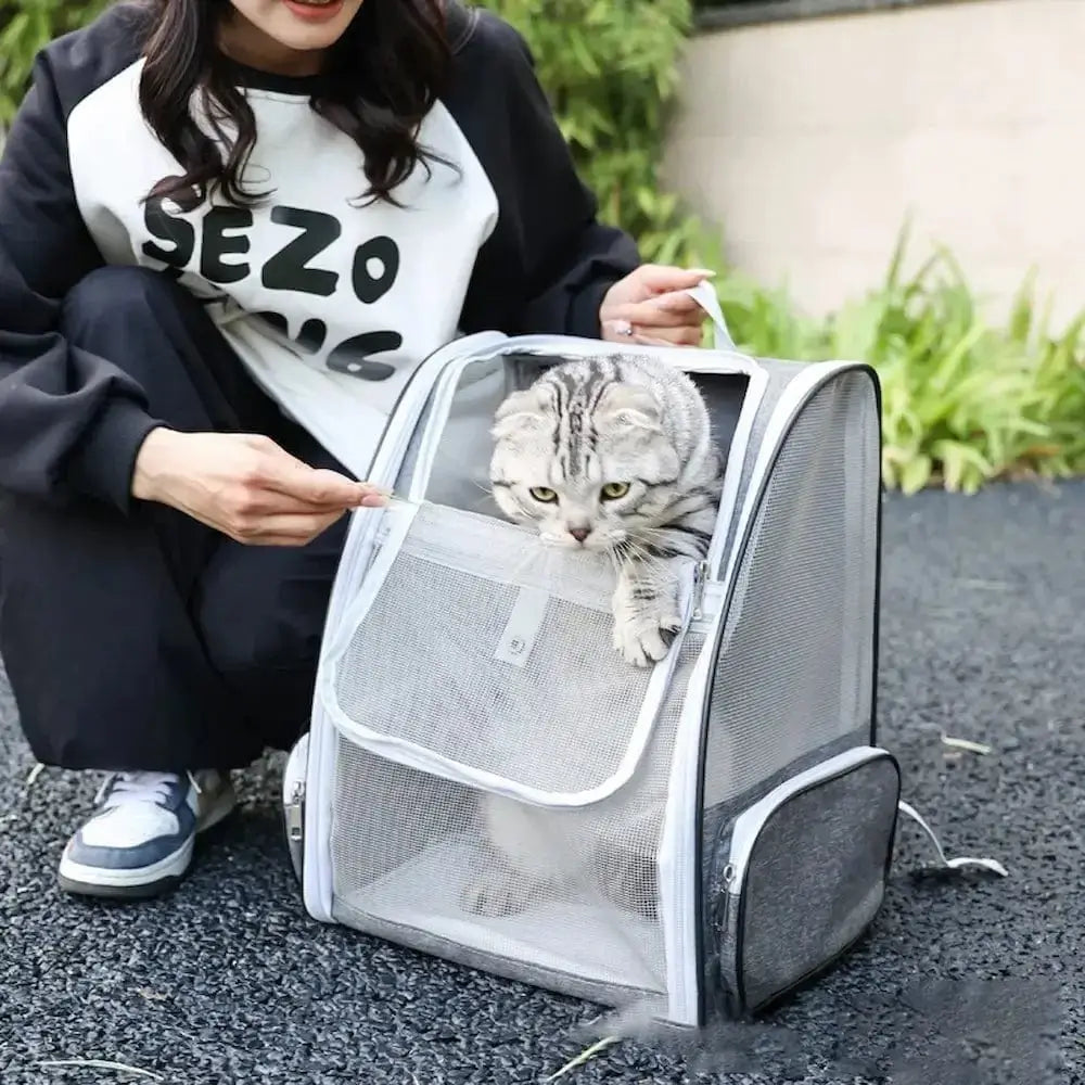 Sac à dos respirant chat
