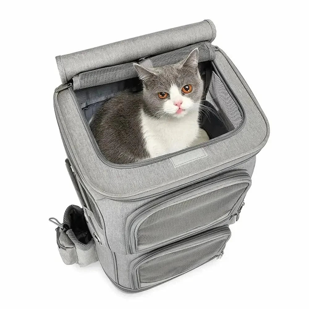 Sac de transport à roulettes pour 2 chats - Ultra confort Griffe d'Amour