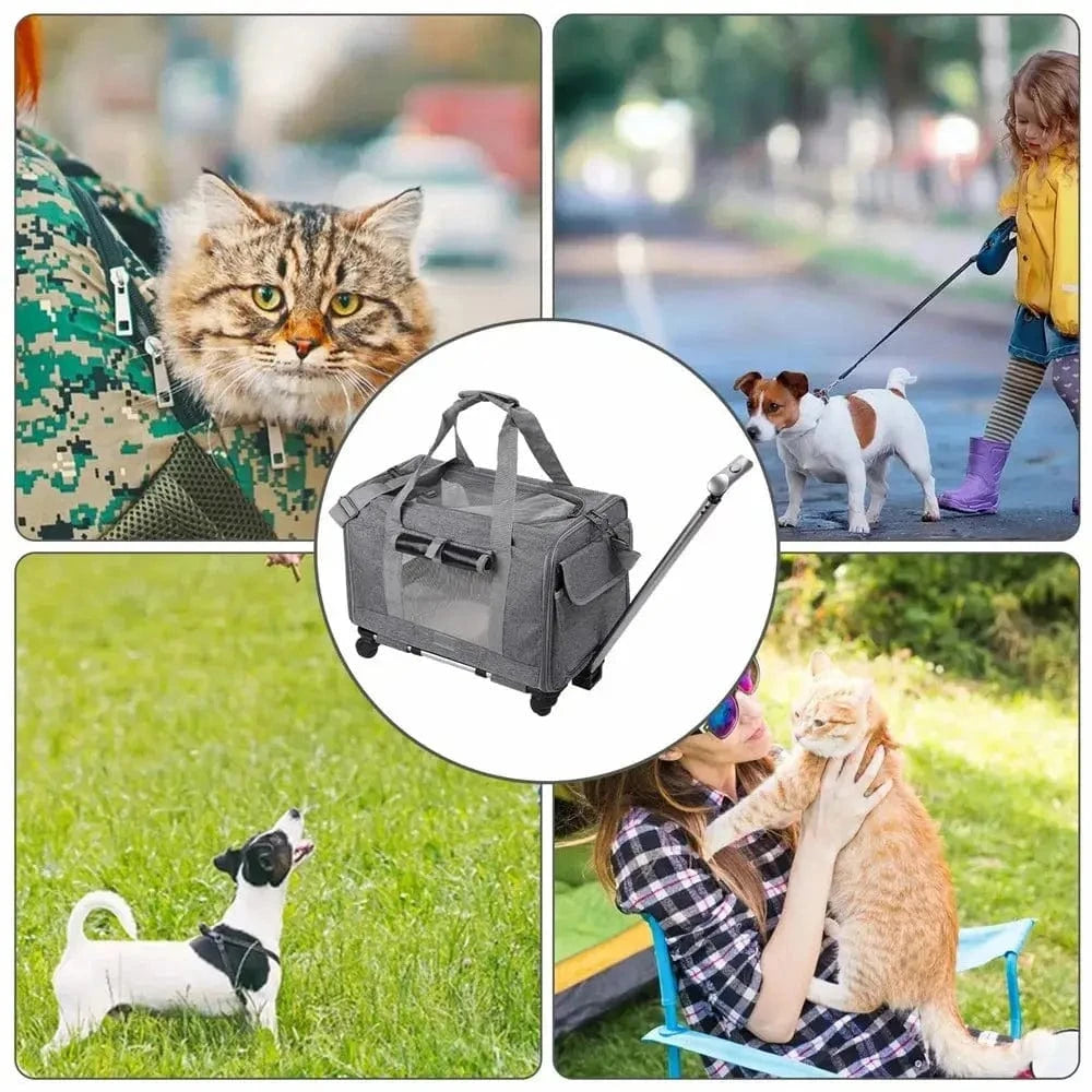 Sac de transport à roulettes pour chat Griffe d'Amour