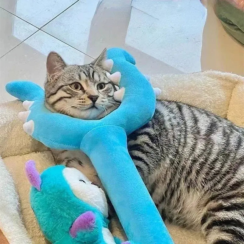 Teaser chat en peluche