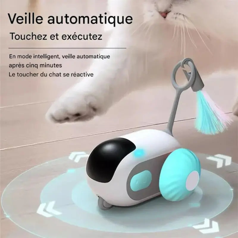 Voiture télécommandée chat