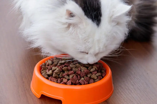 Croquettes sans céréales pour chat : santé ou tendance ?