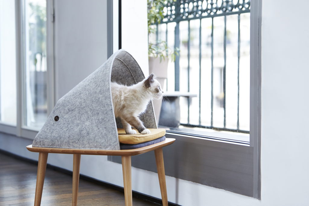 Arbre-à-chat-scandinave-2025-Guide-ultime-pour-bien-choisir Griffe d'Amour