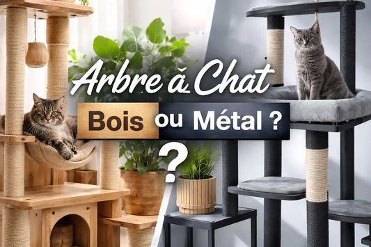 Arbre à chat bois ou métal : quel matériau en 2026 ?
