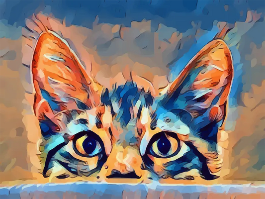 Ce qu’il faut savoir avant d’adopter un chat