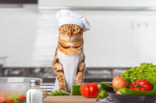 Croquettes-sans-céréales-pour-chat-bon-ou-mauvais Griffe d'Amour