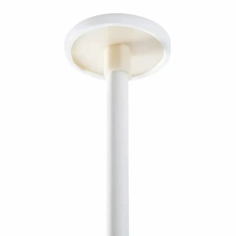 Arbre à chat cactus