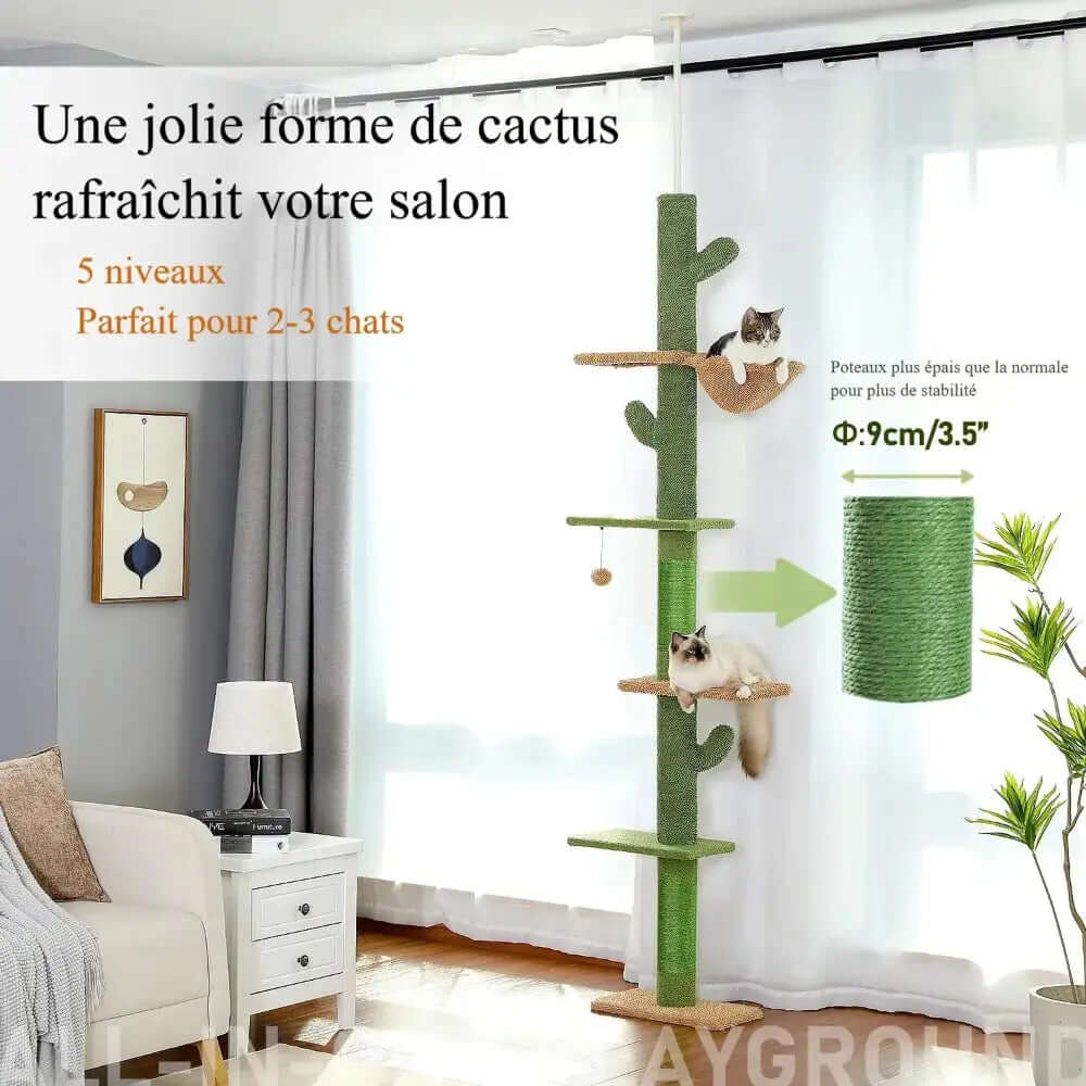 Arbre à chat Cactus - Moderne et attrayant Griffe d'Amour