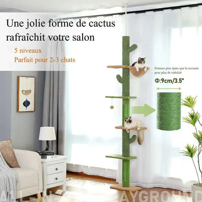 Arbre à chat Cactus - Moderne et attrayant Griffe d'Amour