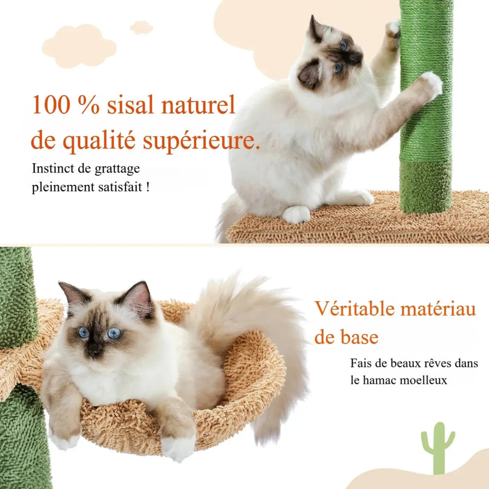 Arbre à chat Cactus Griffe d'Amour