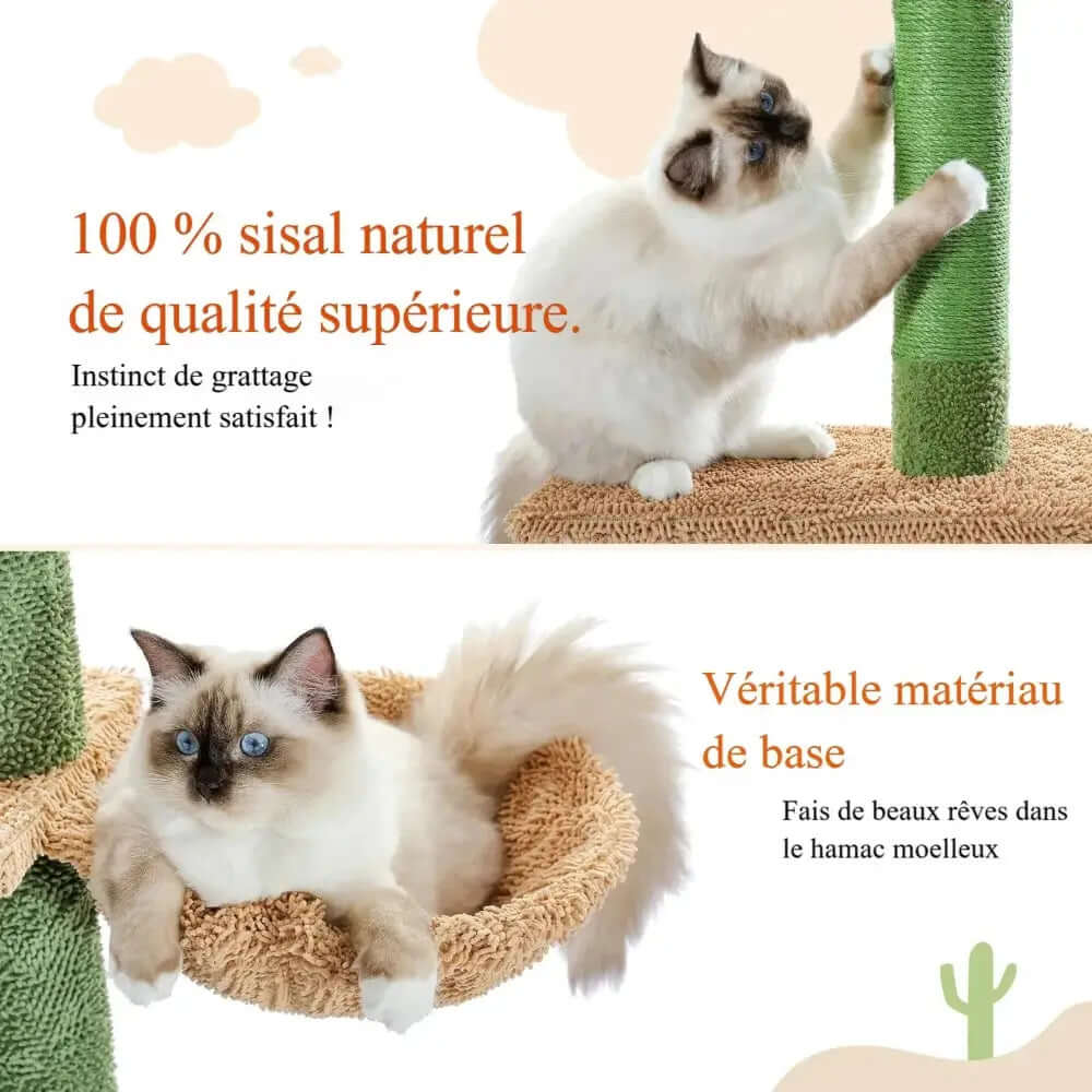 Arbre à chat Cactus - Moderne et attrayant Griffe d'Amour