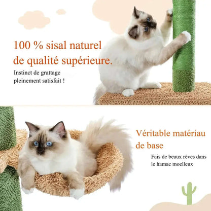 Arbre à chat Cactus - Moderne et attrayant Griffe d'Amour