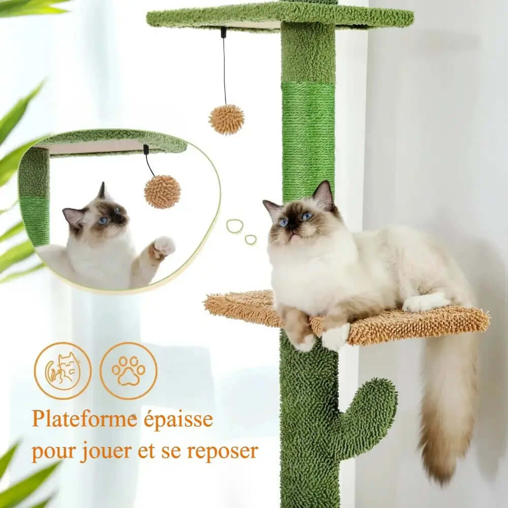 Arbre à chat Cactus - Moderne et attrayant Griffe d'Amour