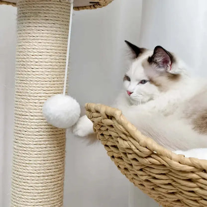 Arbre à chat design luxe