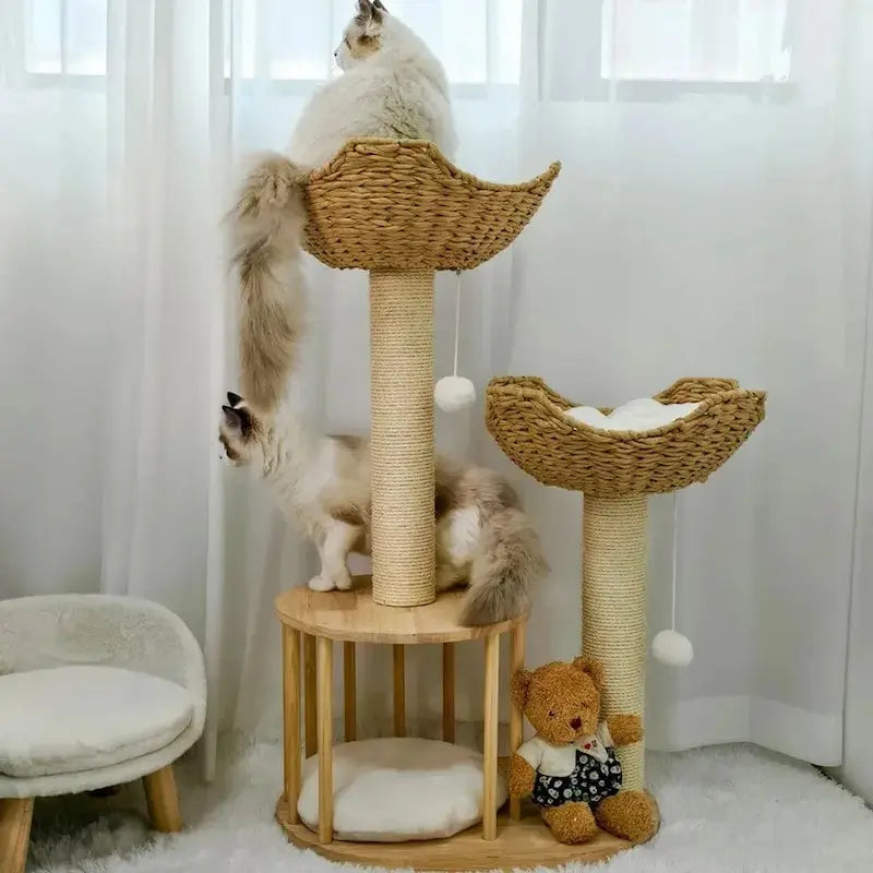 Arbre à chat design luxe