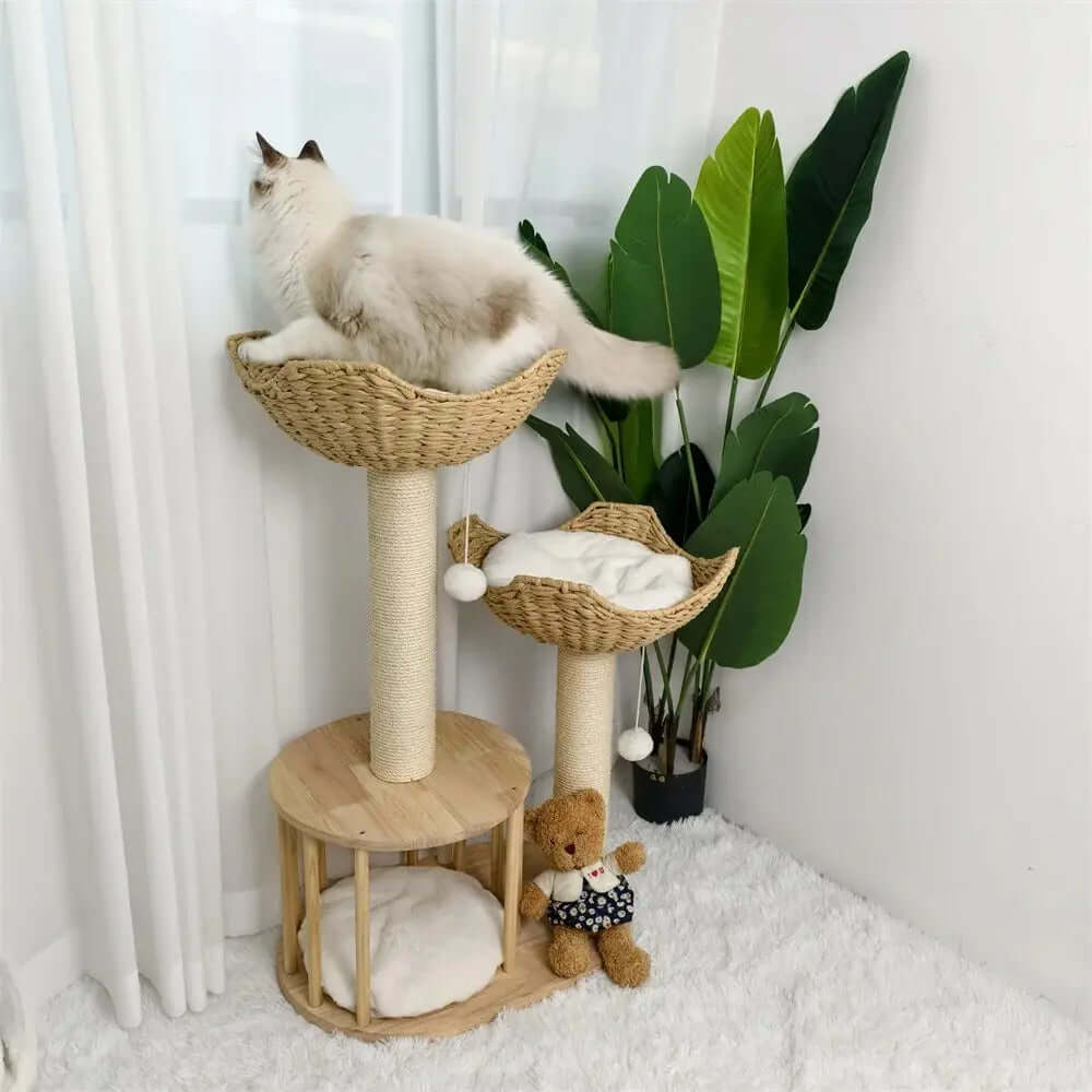 Arbre à chat design luxe - Confort et élégance Griffe d'Amour