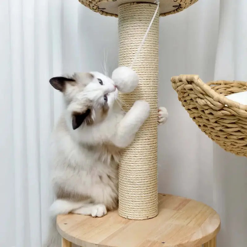 Arbre à chat design luxe