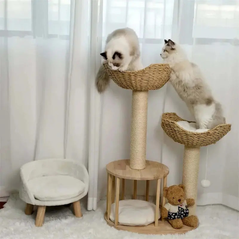 Arbre à chat design luxe