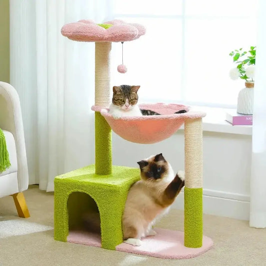 Arbre à chat fleur