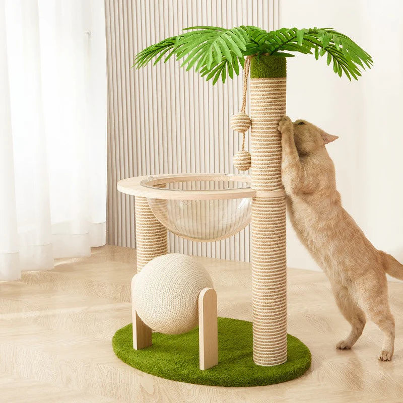 Griffoir chat cocotier