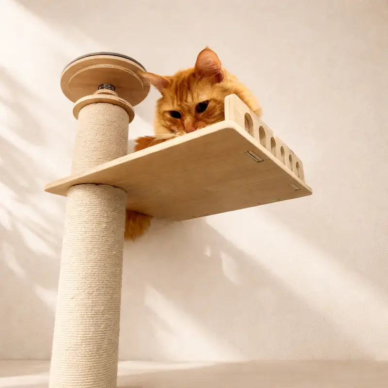 Arbre à chat plafond réglable