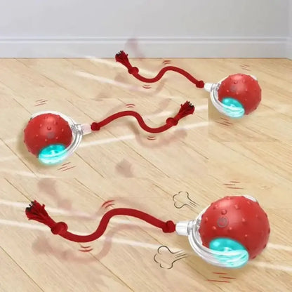 Balle magique pour chat