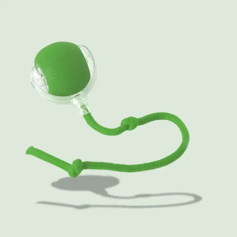 Balle magique pour chat