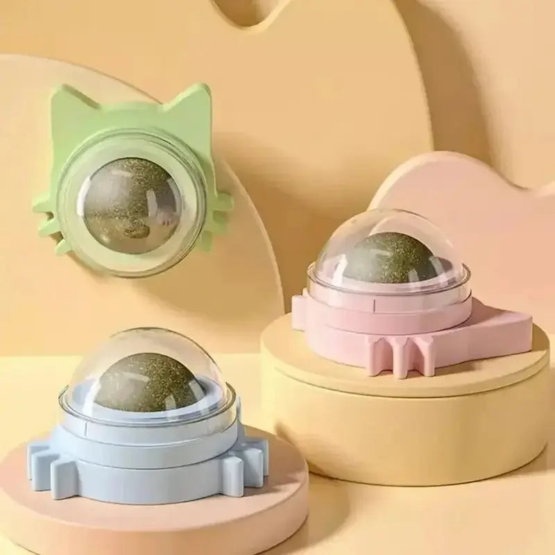 Boule herbe à chat murale