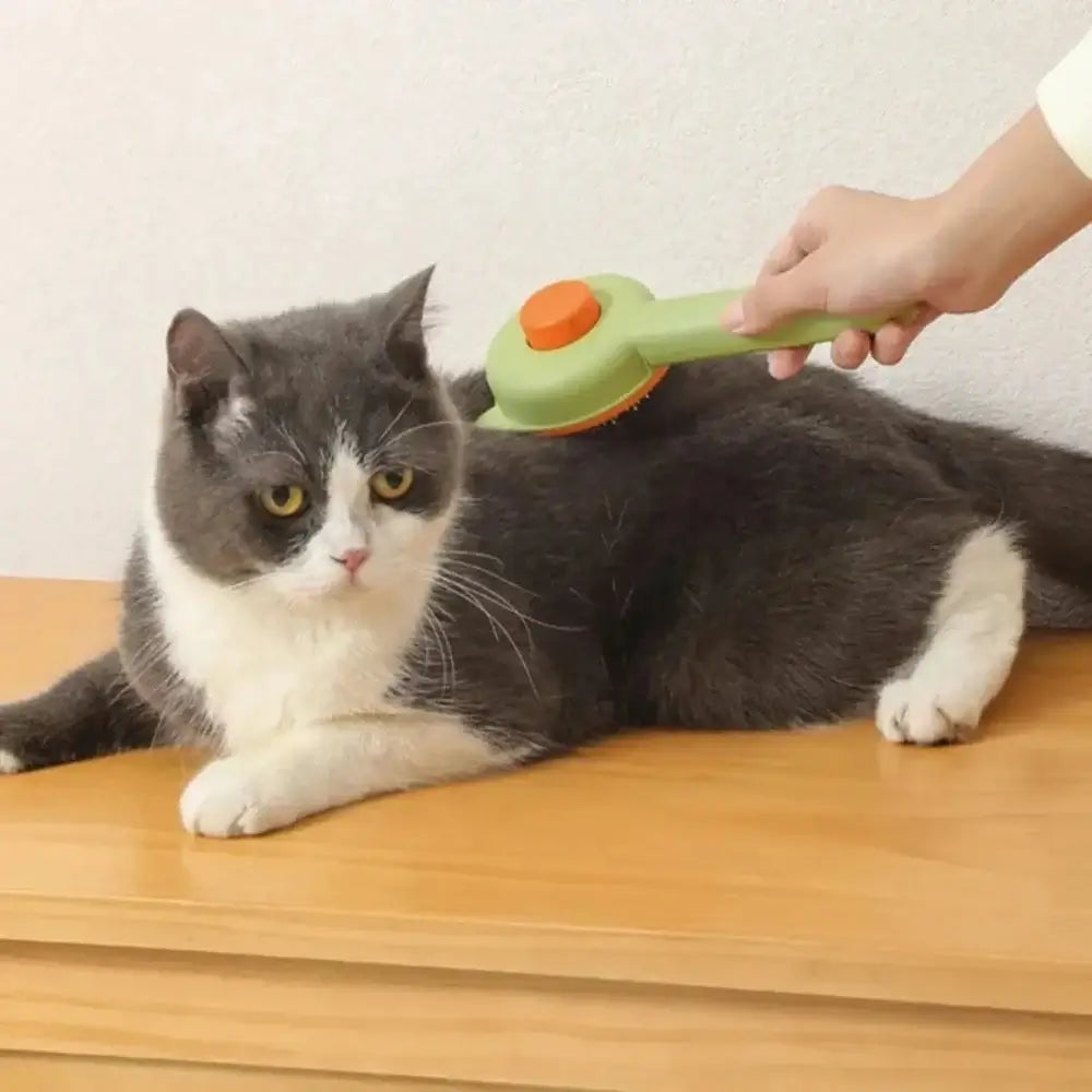 Brosse autonettoyante pour chat - Griffe d'Amour