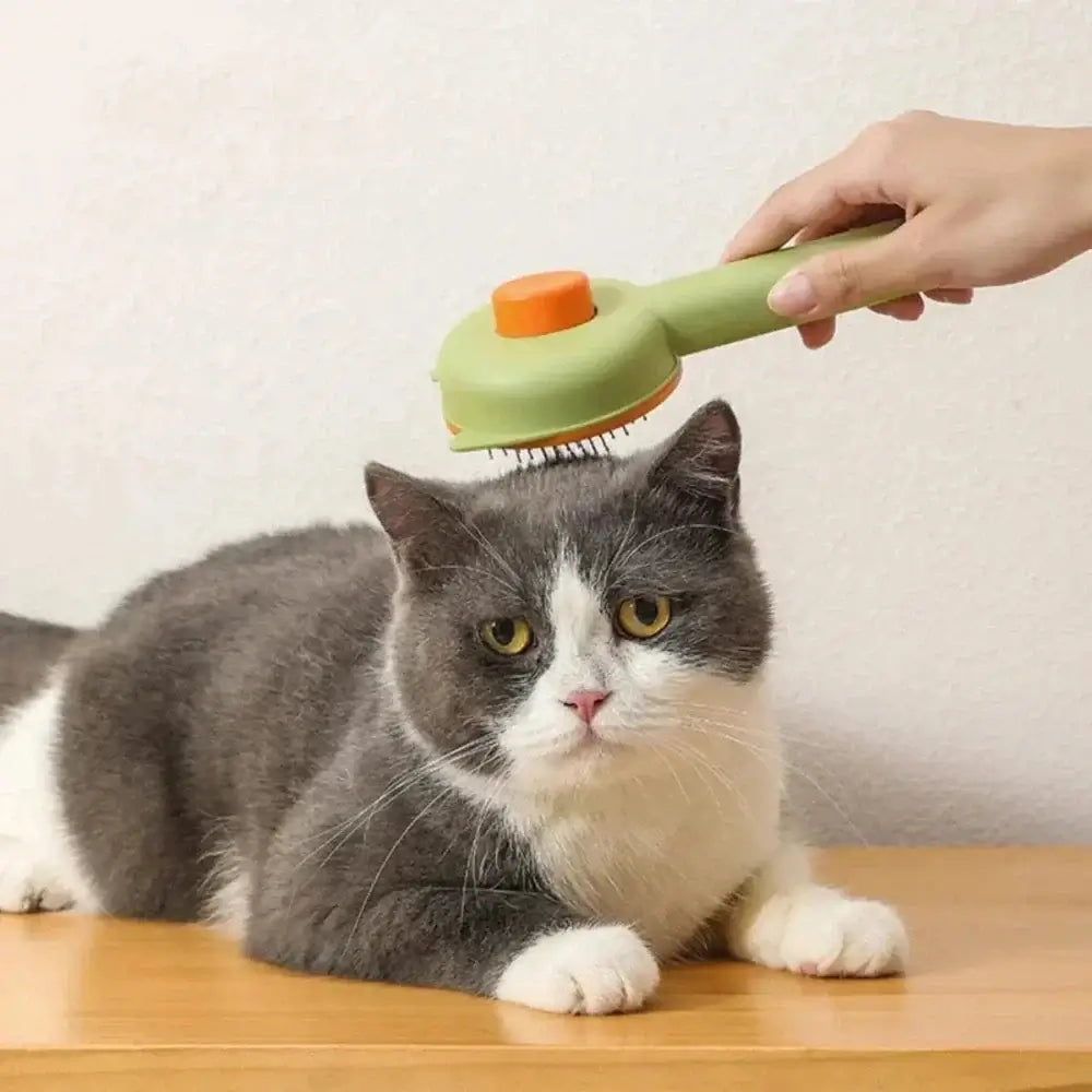 Brosse autonettoyante pour chat - Griffe d'Amour