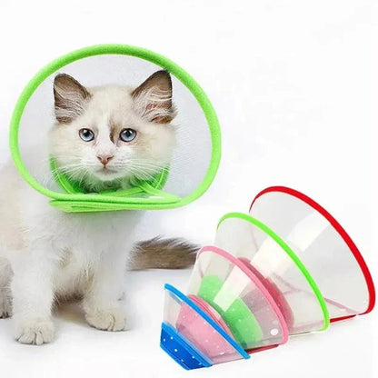 Collerette chat anti-grattage Griffe d'Amour
