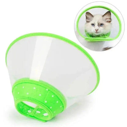 Collerette chat anti-grattage Griffe d'Amour
