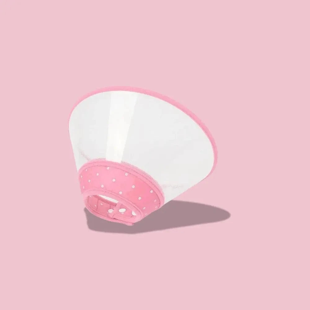 Collerette chat anti-grattage Griffe d'Amour