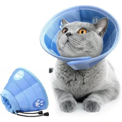 Collier anti-léchage pour chat Griffe d'Amour