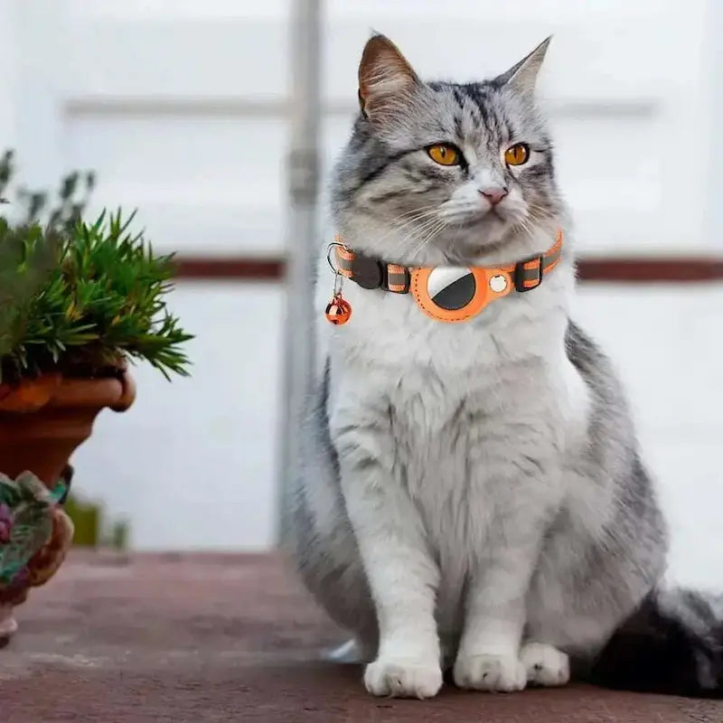 Collier chat AirTag