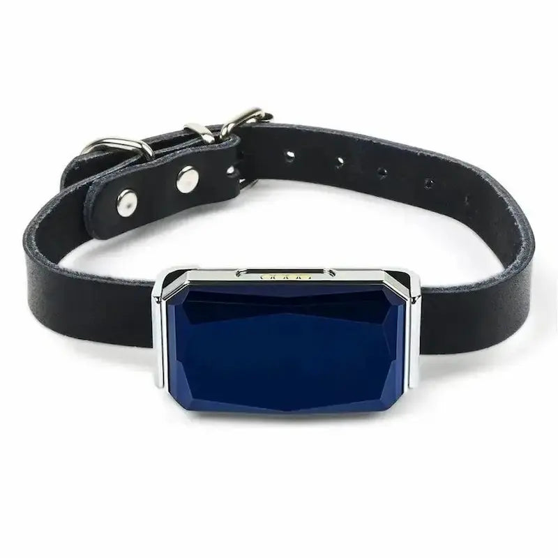 Collier GPS chat en cuir