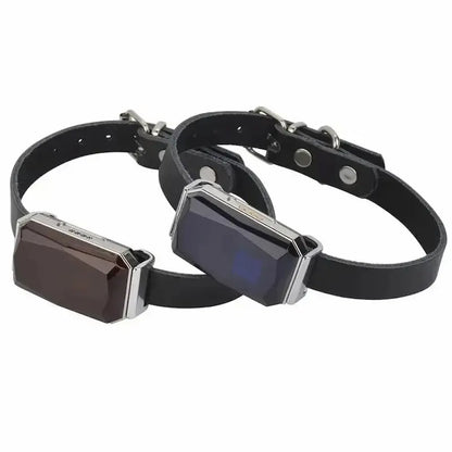 Collier GPS chat en cuir
